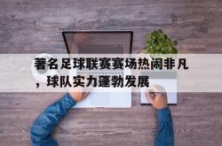 万博-著名足球联赛赛场热闹非凡，球队实力蓬勃发展