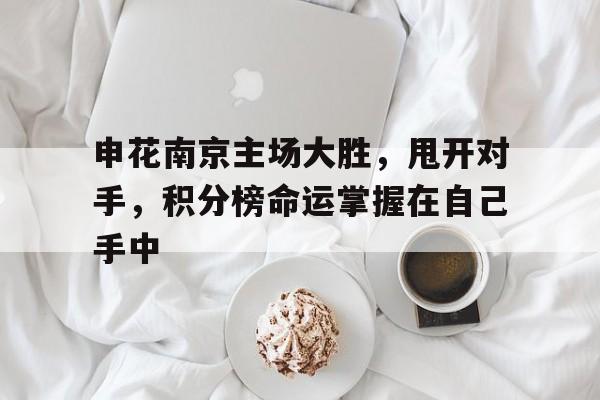 申花南京主场大胜，甩开对手，积分榜命运掌握在自己手中